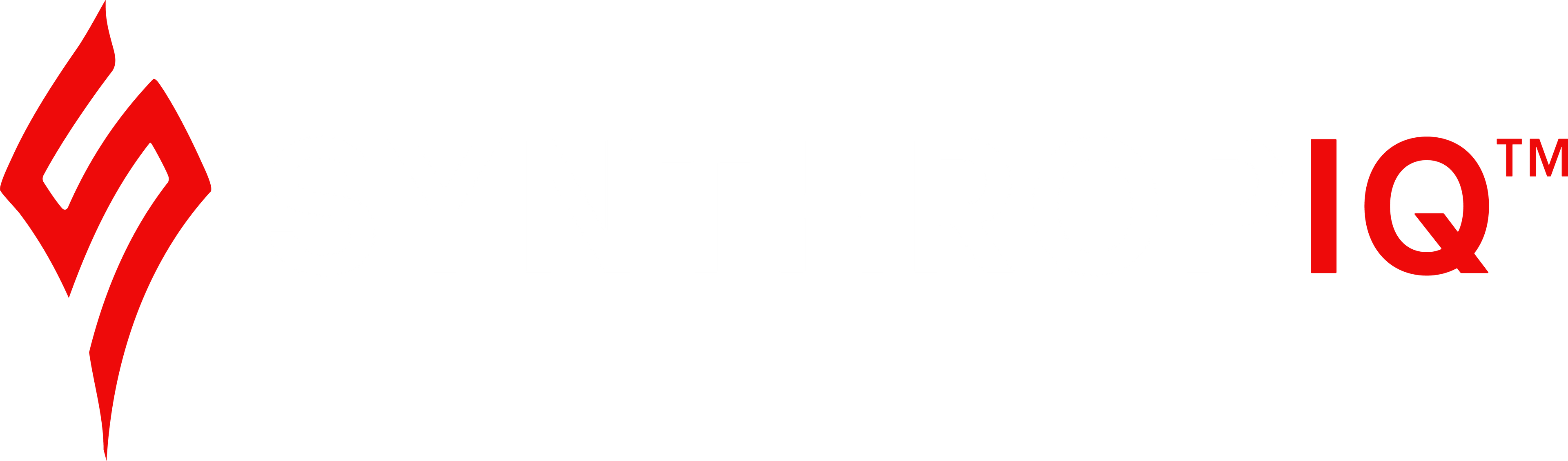 SYNTHROPIQ